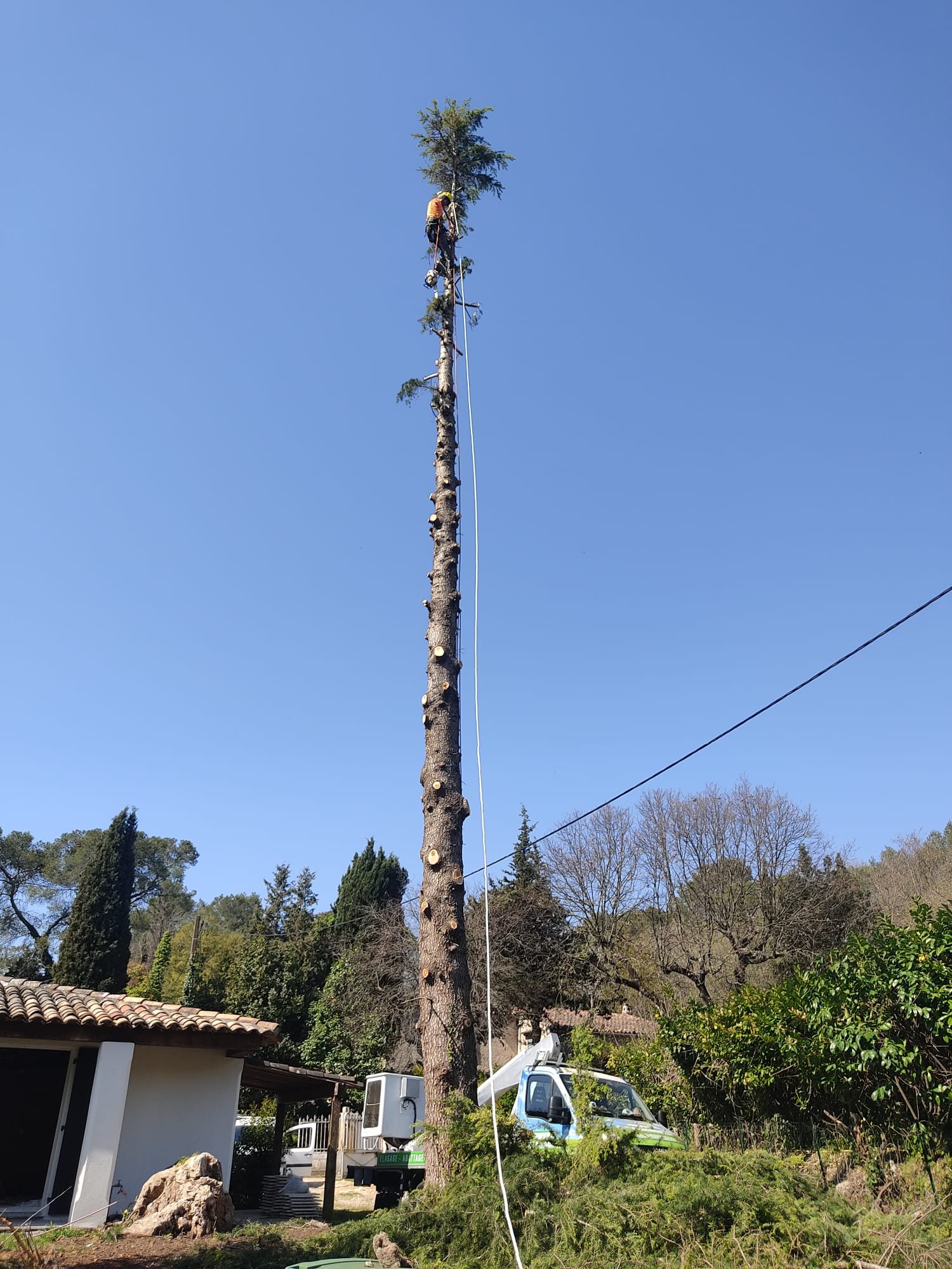 Élagage en hauteur dans les Alpes-Maritimes
