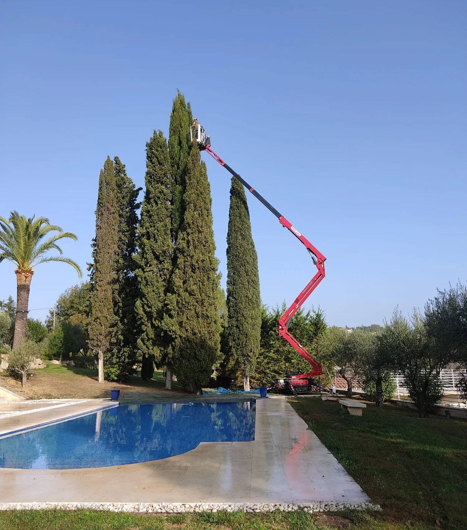 Élagage de cyprès en nacelle, villa avec piscine