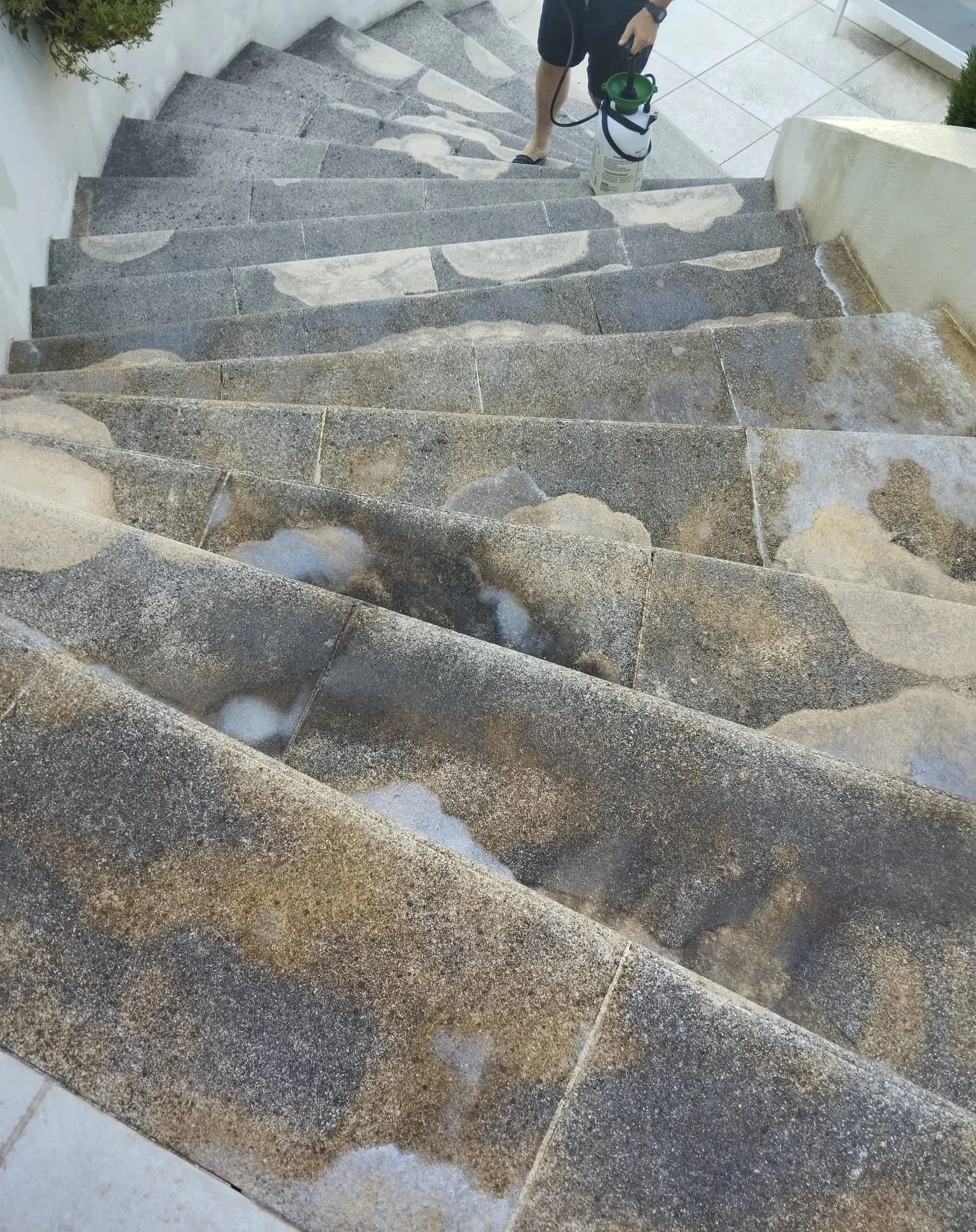Travaux de jardin Alpes-Maritimes